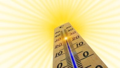 temperature