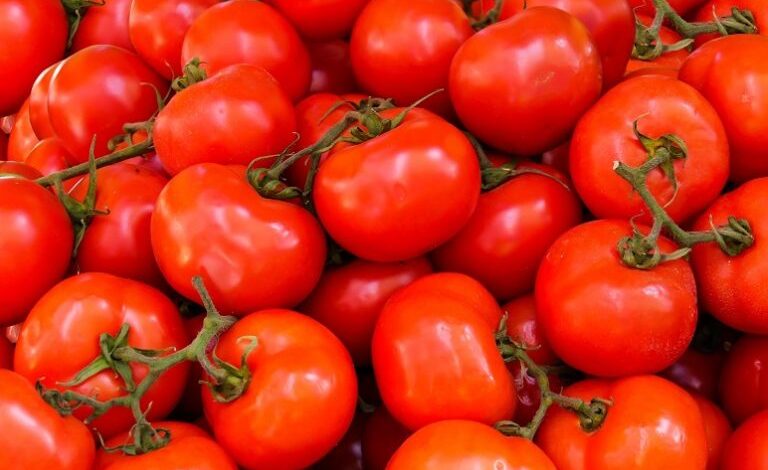 Tomato Price Hike