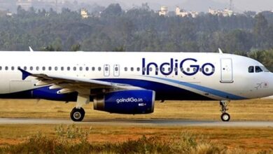 INDIGO