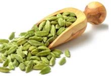 Cardamom