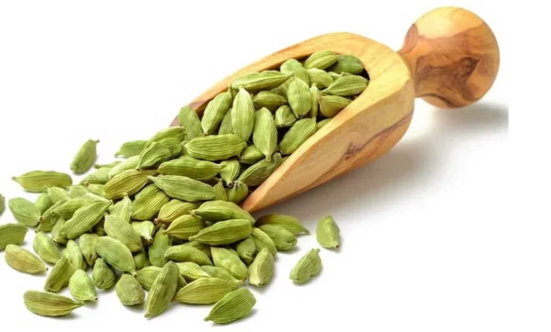 Cardamom