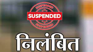 Suspension