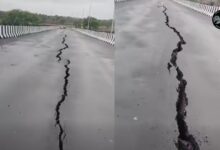 BridgeCracks