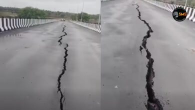 BridgeCracks